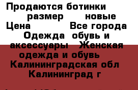 Продаются ботинки Baldinini, размер 37,5 новые › Цена ­ 7 000 - Все города Одежда, обувь и аксессуары » Женская одежда и обувь   . Калининградская обл.,Калининград г.